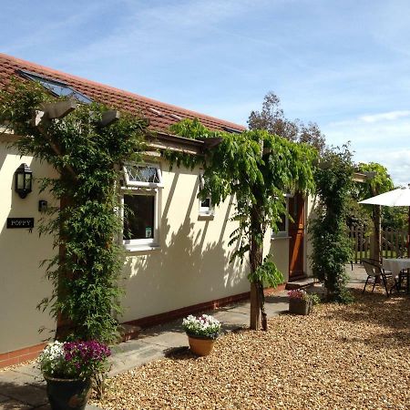 Ashford House B&B Wells Zewnętrze zdjęcie