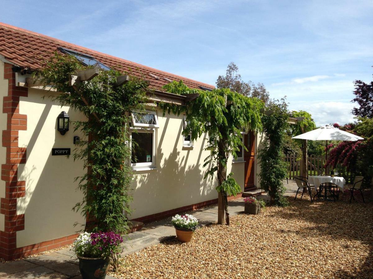 Ashford House B&B Wells Zewnętrze zdjęcie